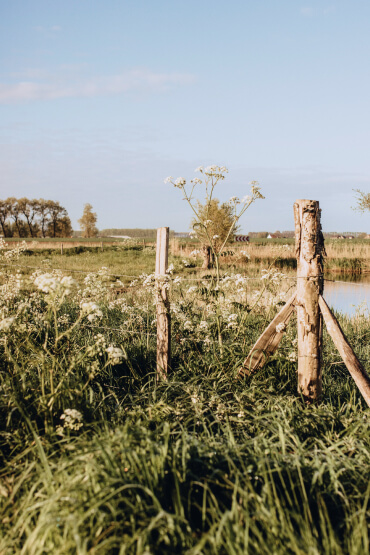 De Natuur