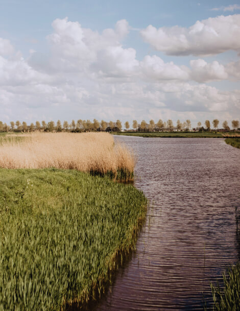 De oorsprong van de naam