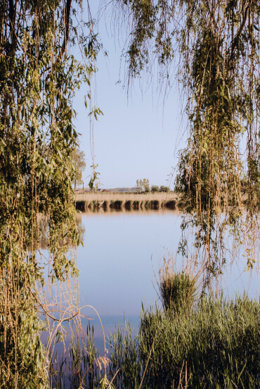 De Natuur