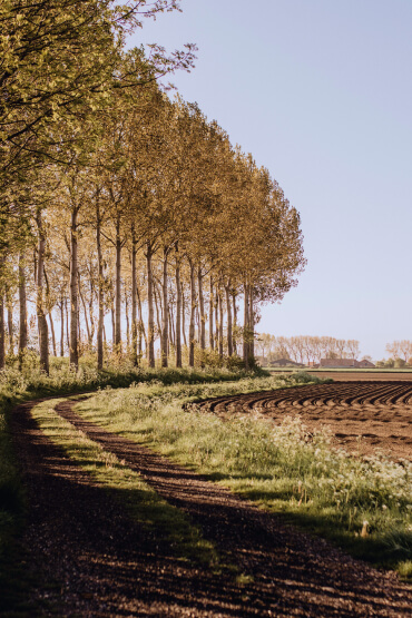 De Natuur